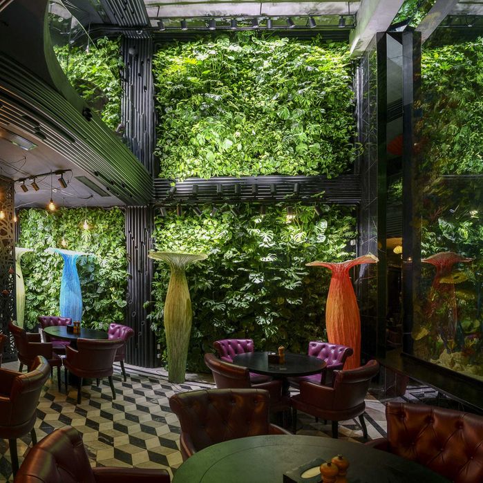 ZIELONA ŚCIANA ogród wertykalny DONICE żywe rośliny MECH CHROBOTEK