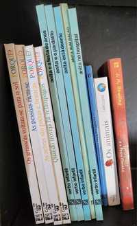 Vários livros crianças