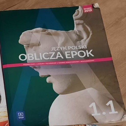 Książka Język Polski 1.1