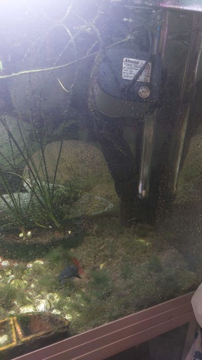 Акваріум 200 л з тумбочкою і обладнанням б/у