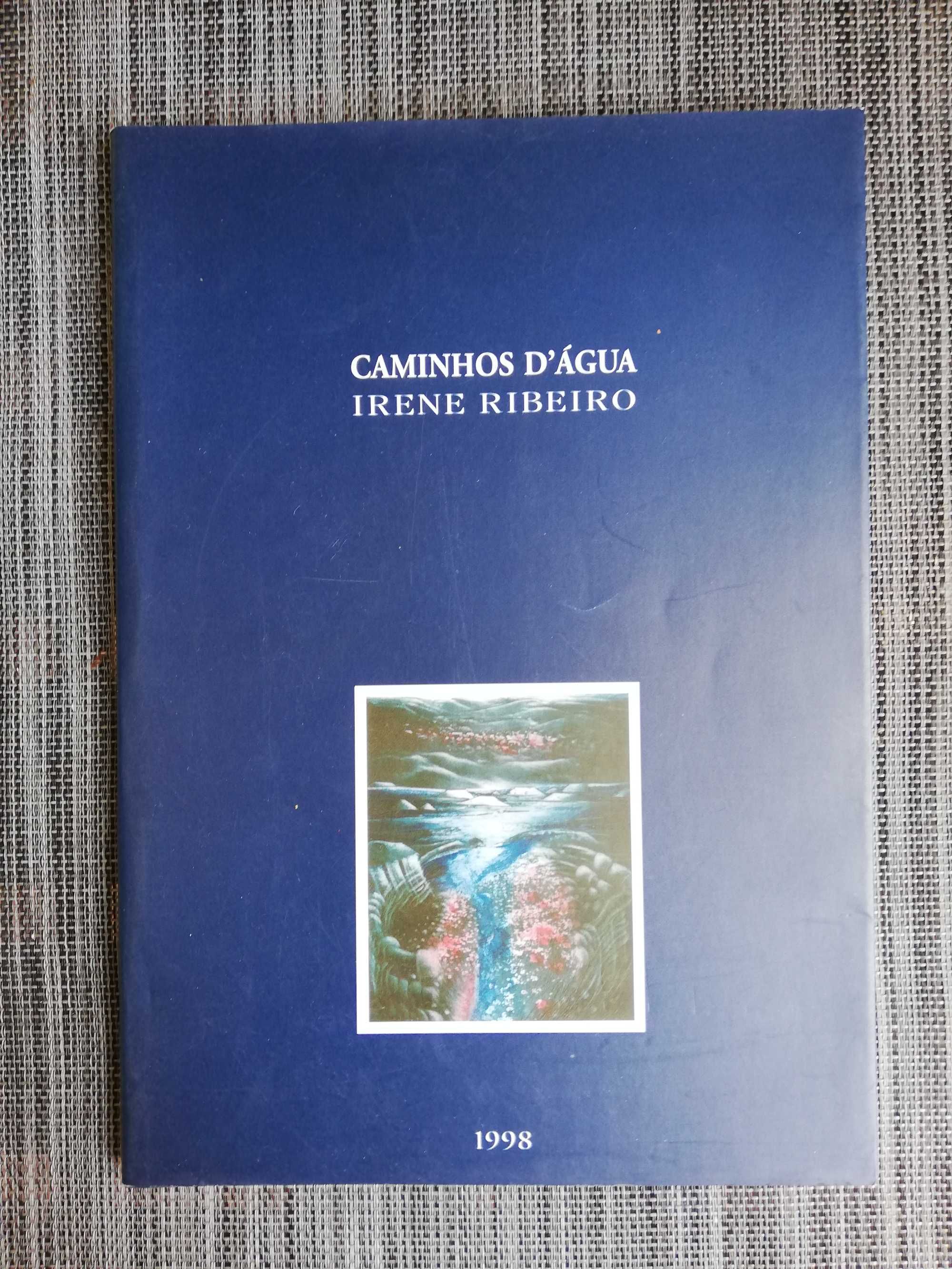 Caminhos D'Água - Irene Ribeiro (portes incluídos)