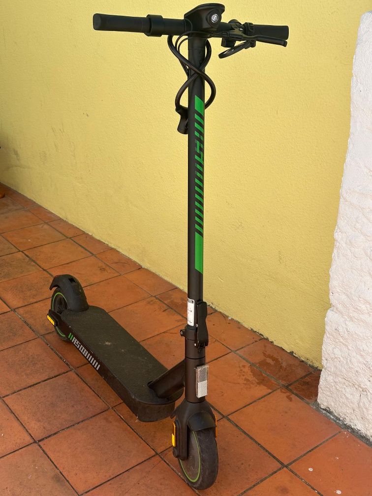 Trotineti accer semini novo