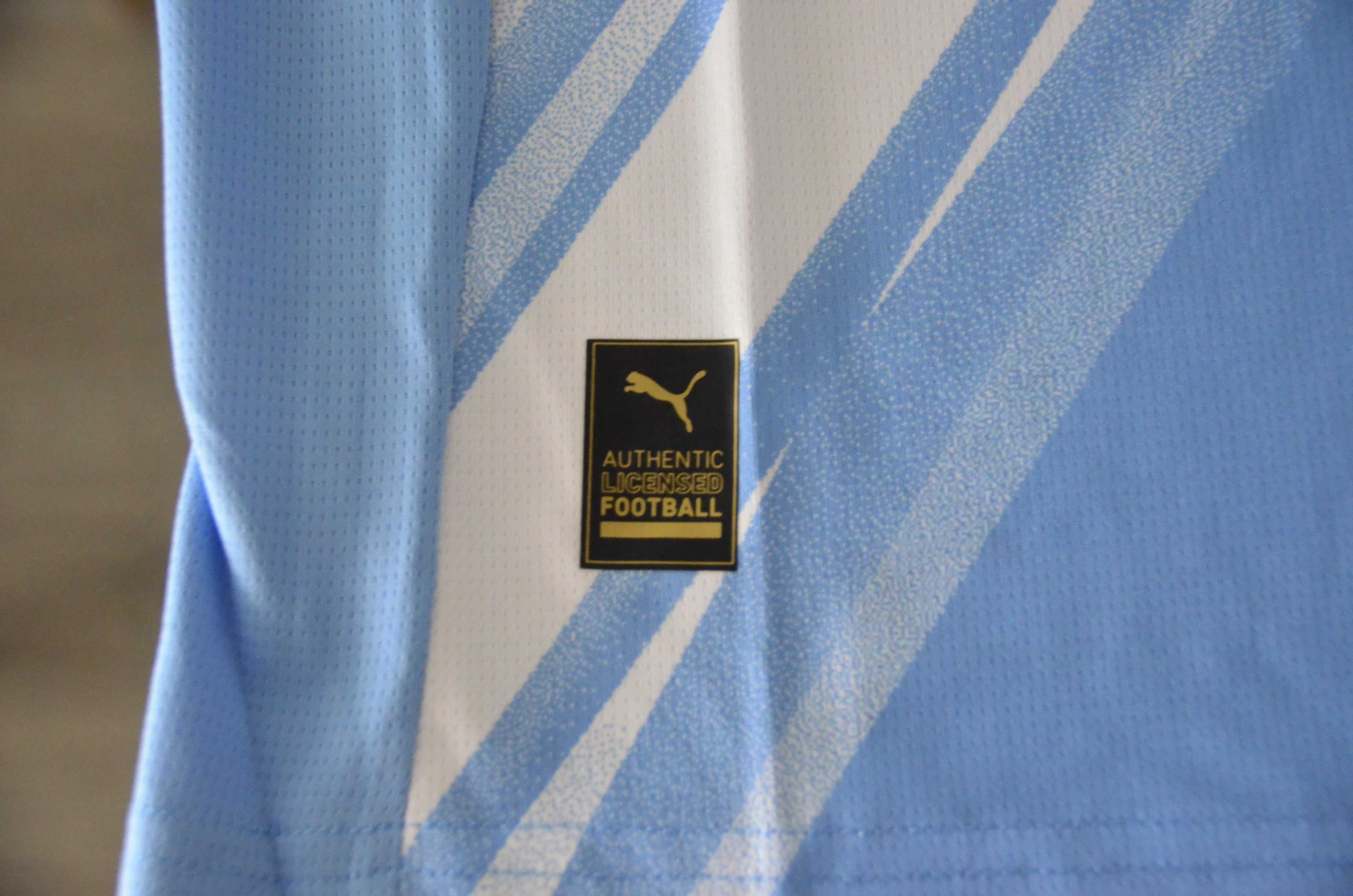 Camisola do Manchester City (portes gratis)