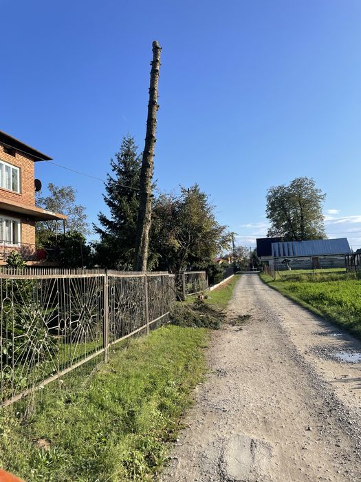 Wycinka oraz przycinka drzew i krzewów