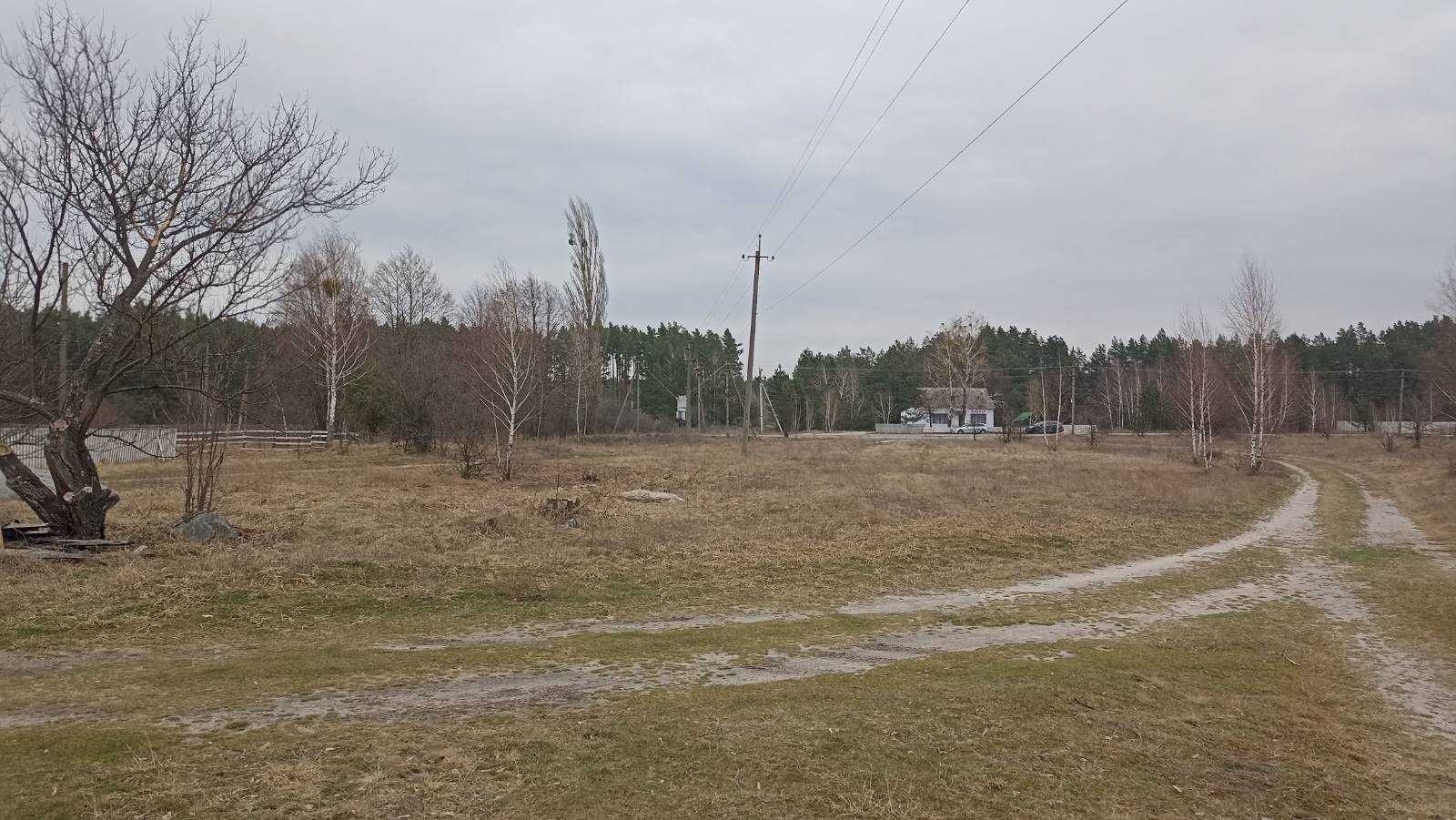 Продаю 25 соток землі в селі Новогородецьке (до 40 км від Житомира)