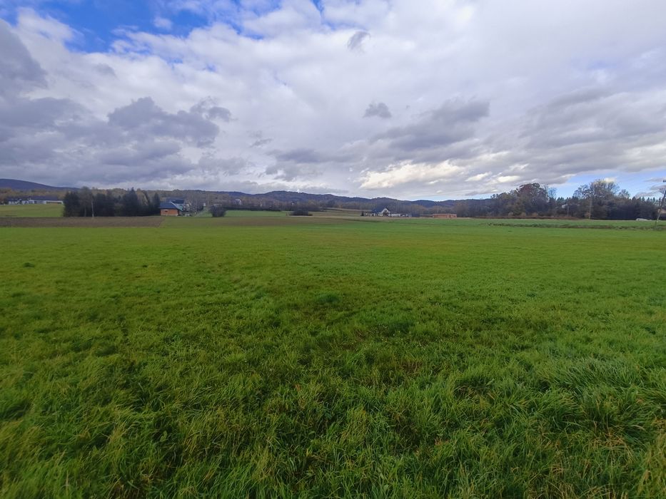 Widokowa działka budowlana