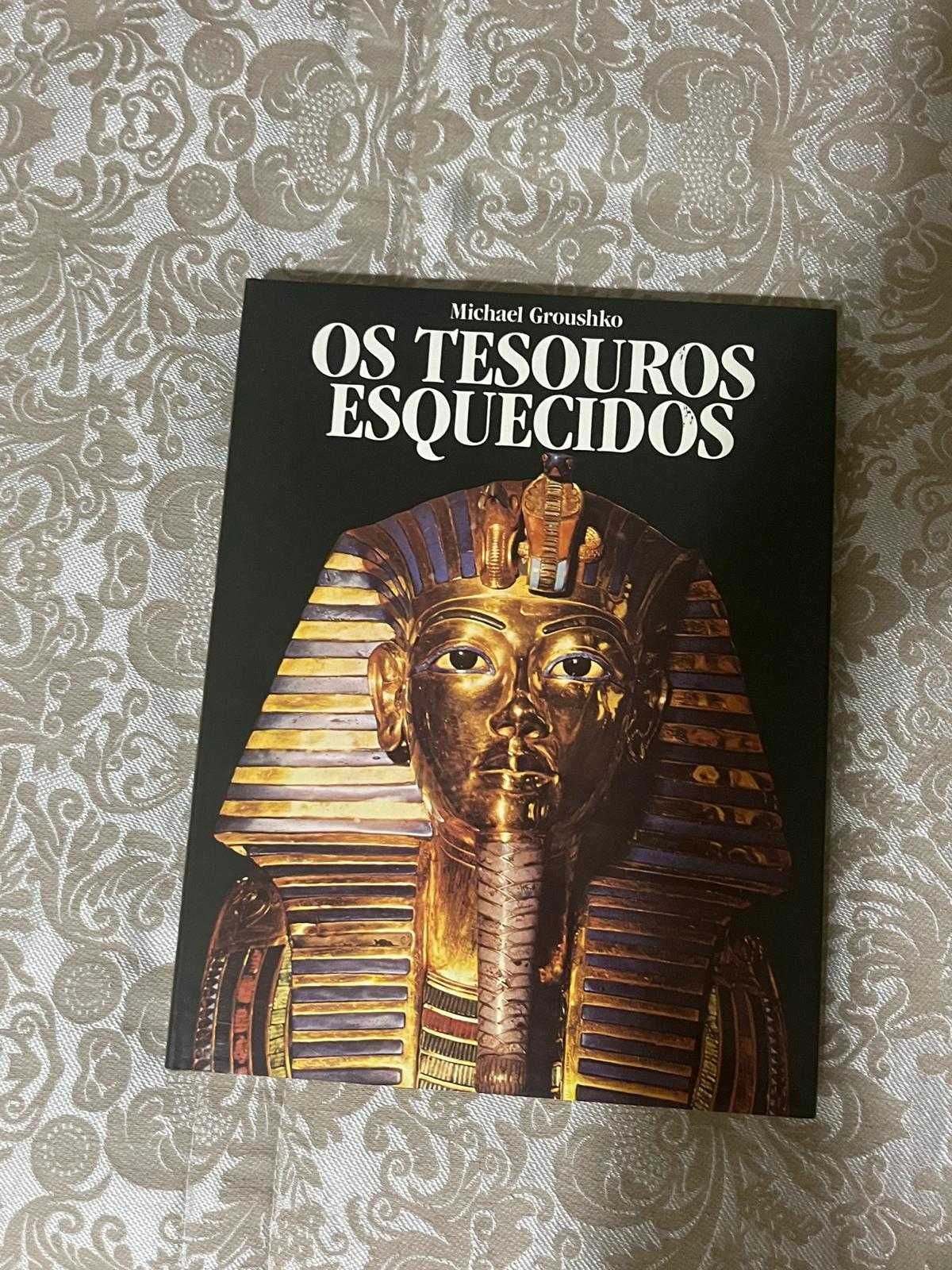 Os tesouros esquecidos- Michael Groushko