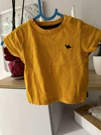 T-shirt Nutmeg 68