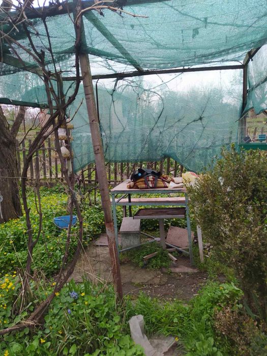 Продам (сдам в аренду)дачу на Космосе