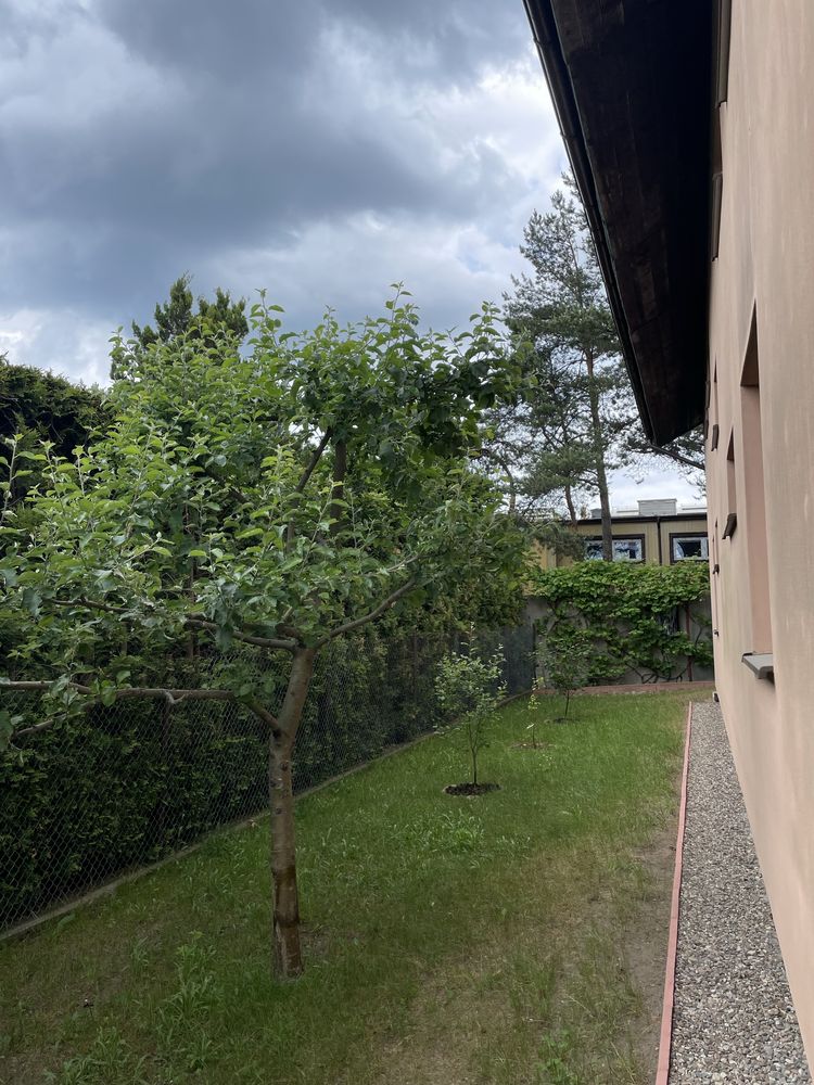 Nocleg Bolszewo 180zł / doba