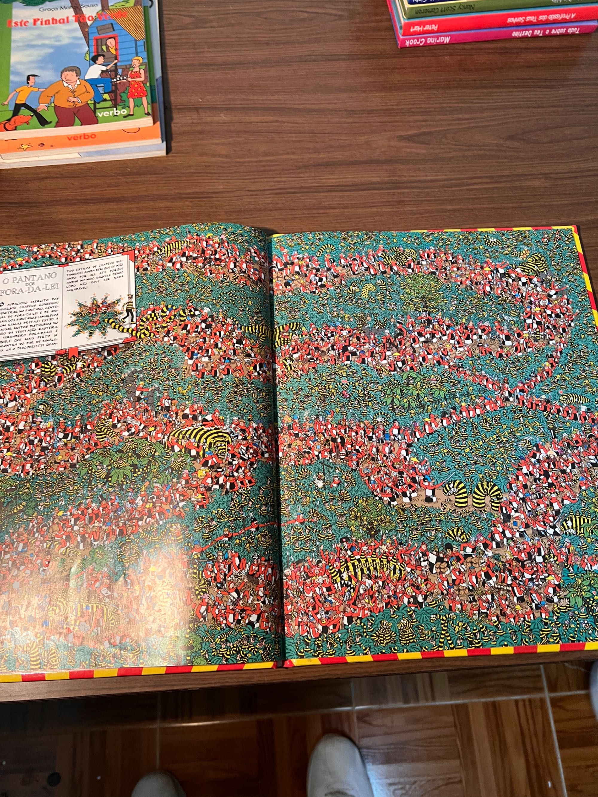 Livros ‘onde está o wally’