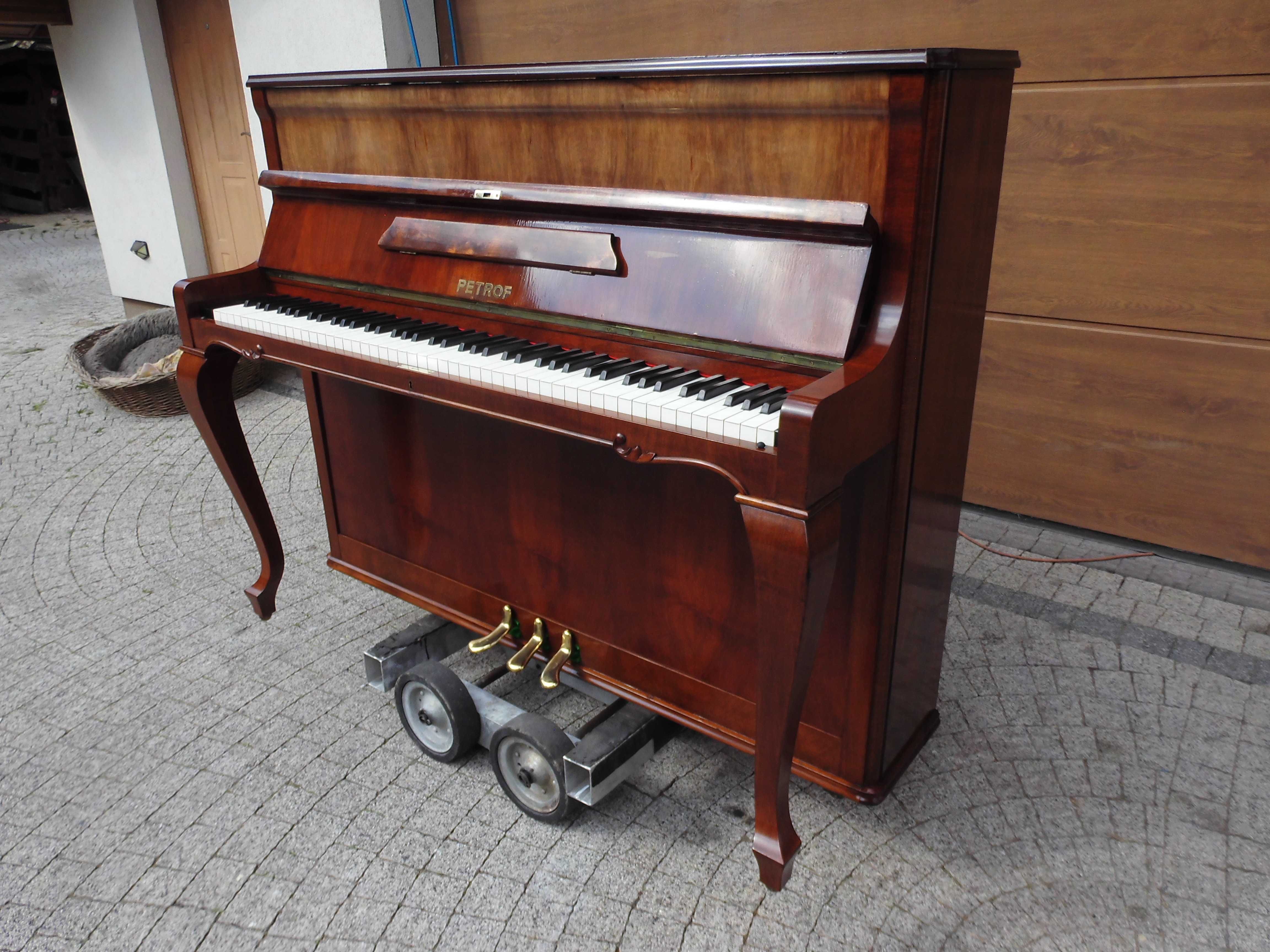 Pianino Stylowe Petrof M114 w pieknym orzechu na gotowo z transportem