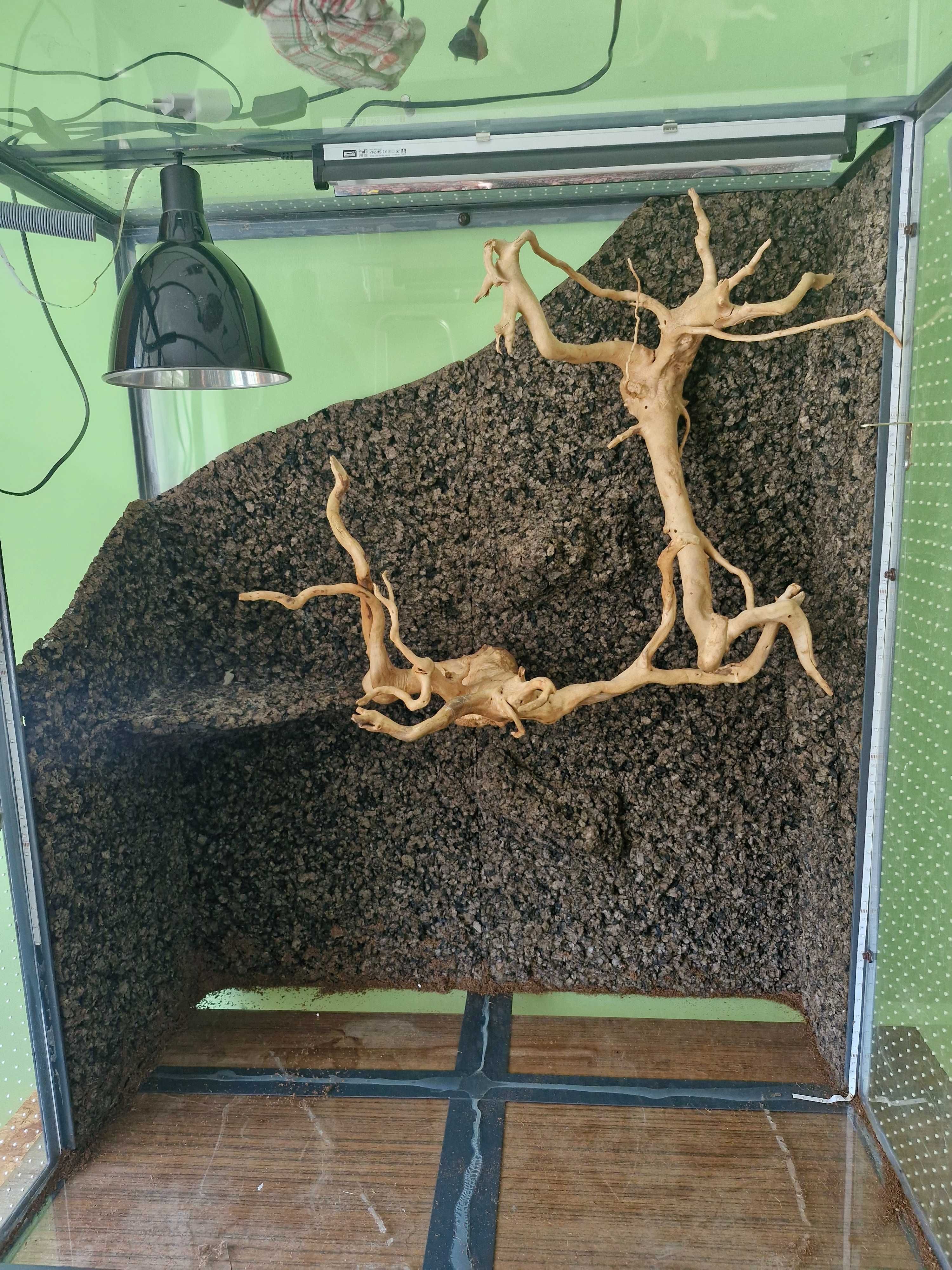 Terrarium  tropikalne D:70 SZ:100 W:120  + gratisy