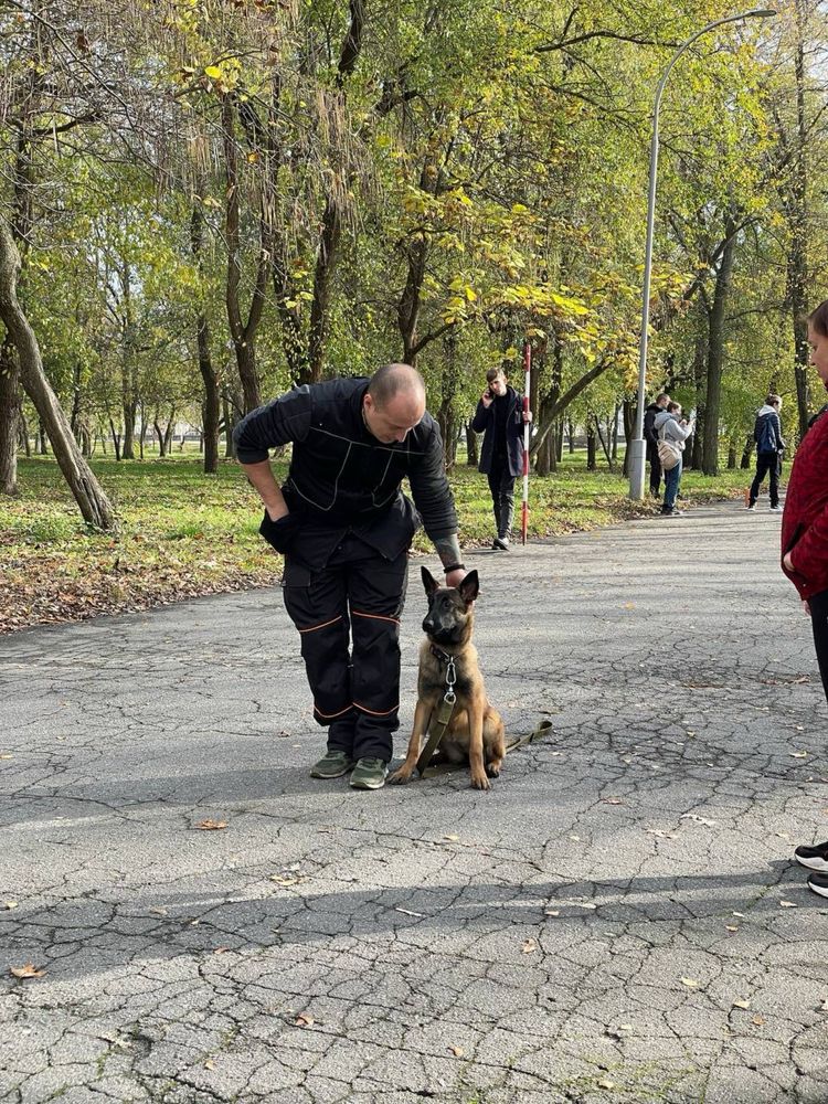 Дресирування собак, послуги кінолога. Дипломовані спеціалісти.