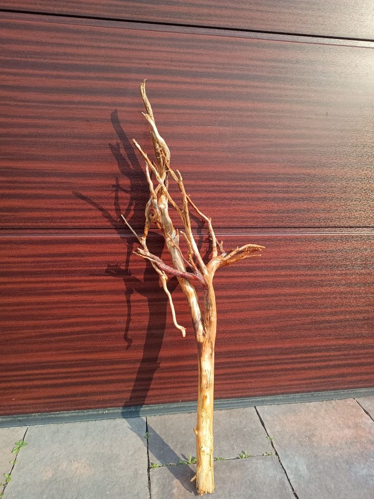 Bardzo ładny, długi naturalny korzeń do akwarium