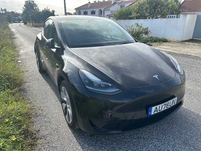 Tesla Modelo Y Tracção Traseira
