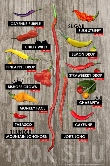 Семена острых перцев насіння гострого перцю Carolina 7Pot Aji Naga
