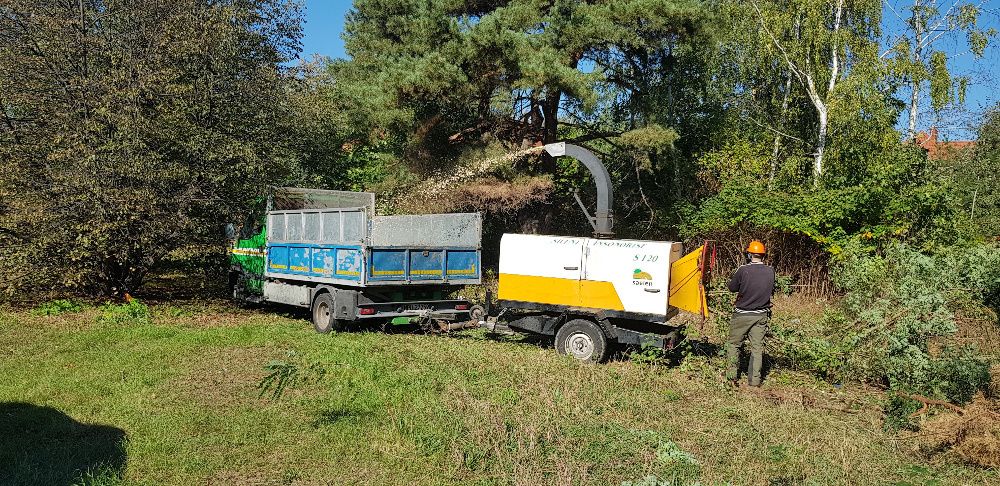 Wycinka drzew, korekty drzew, wycinka alpinistyczna, usługi rębakiem