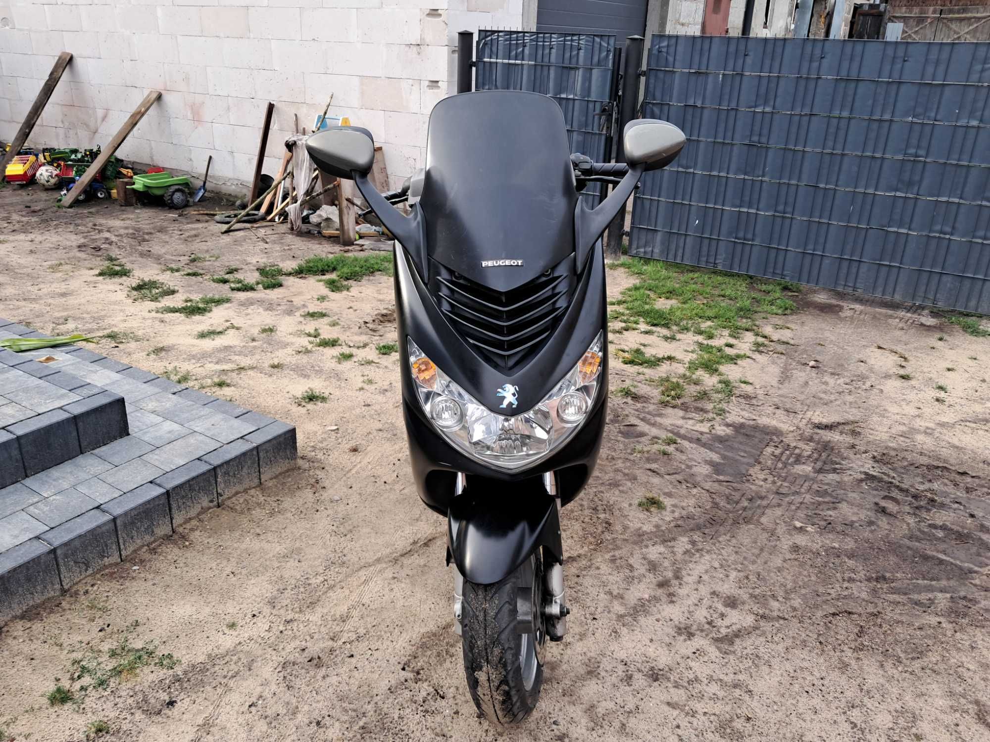 Pegot elystar 50 2t