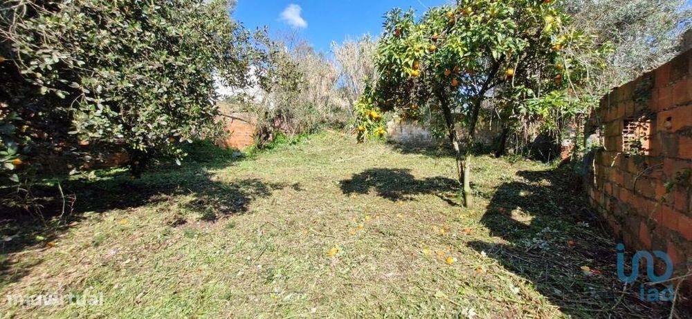 Casa / Villa T8 em Rio Maior de 226,00 m2