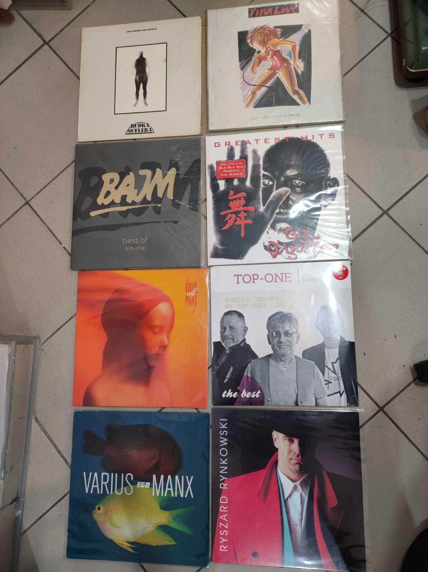 Płyty winylowe winyle Sting Pink Floyd Cohen Bon Jovi i inne 300 sztuk