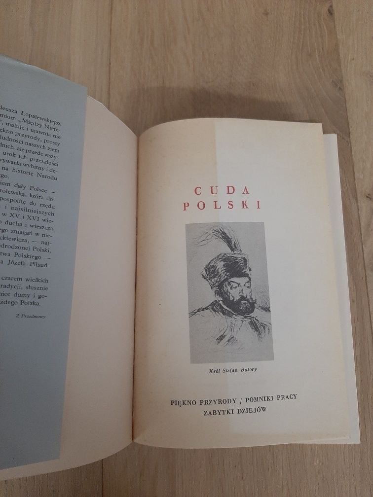Między Niemnem a Dźwiną - Tadeusz Łopalewski