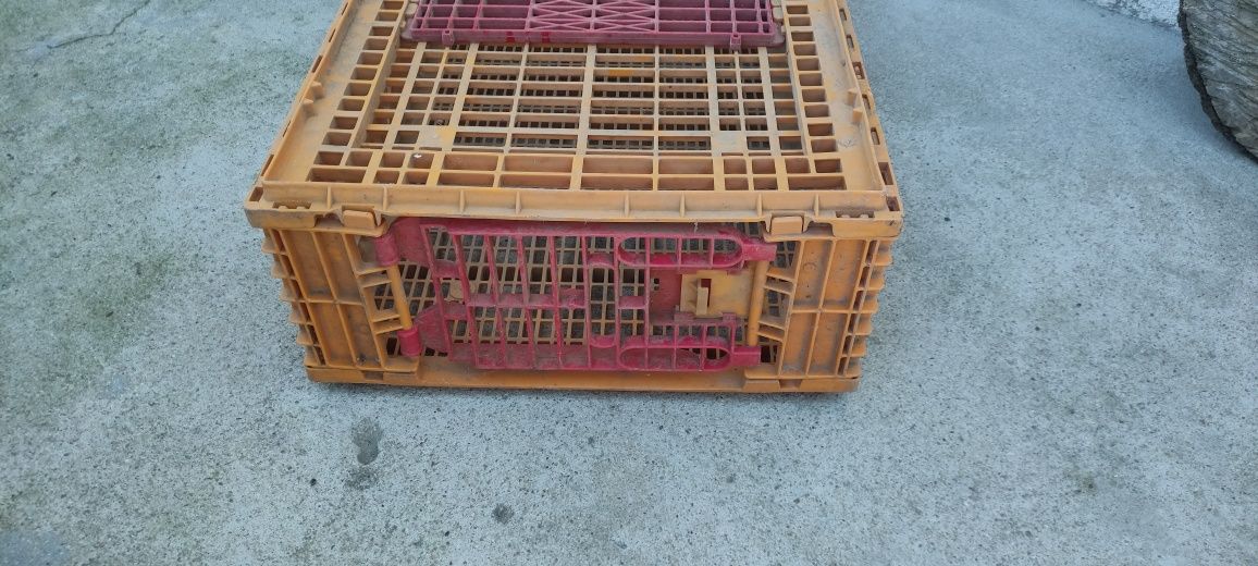 Gaiolas para transportar animais