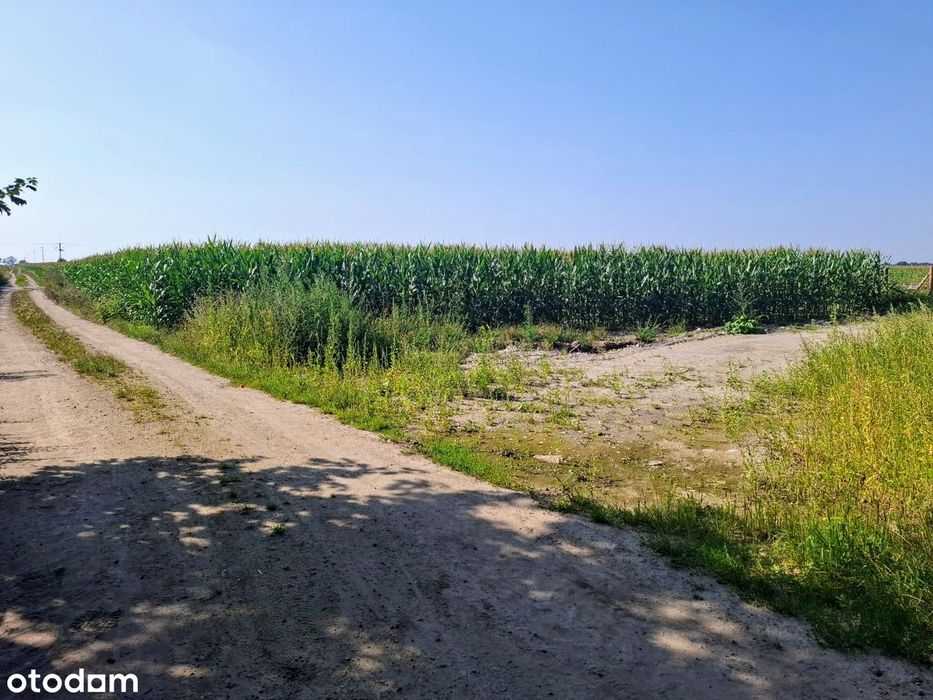 Działka budowlana, Boguszyce, 5 minut od Oleśnicy, dobry dojazd