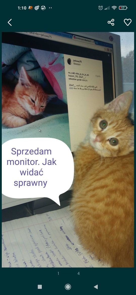 Monitor LG do komputera