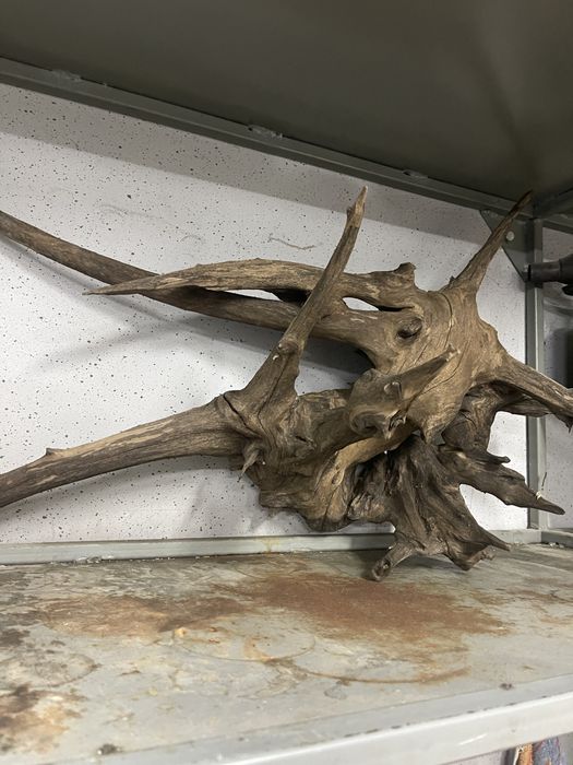 Корень в аквариум