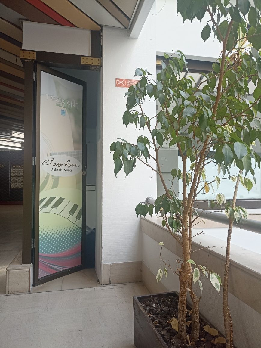 Sala para alugar