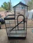 Vendo gaiola para papagaio