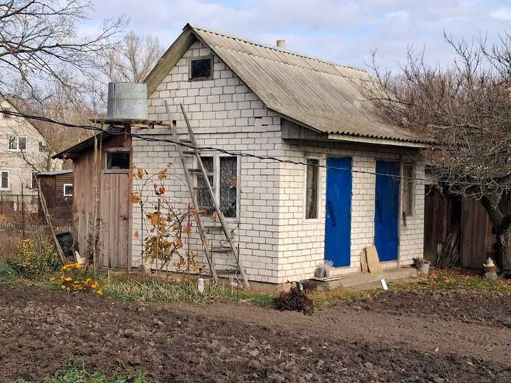 Продаж дачного будинку в садовому товаристві  "Діброва"