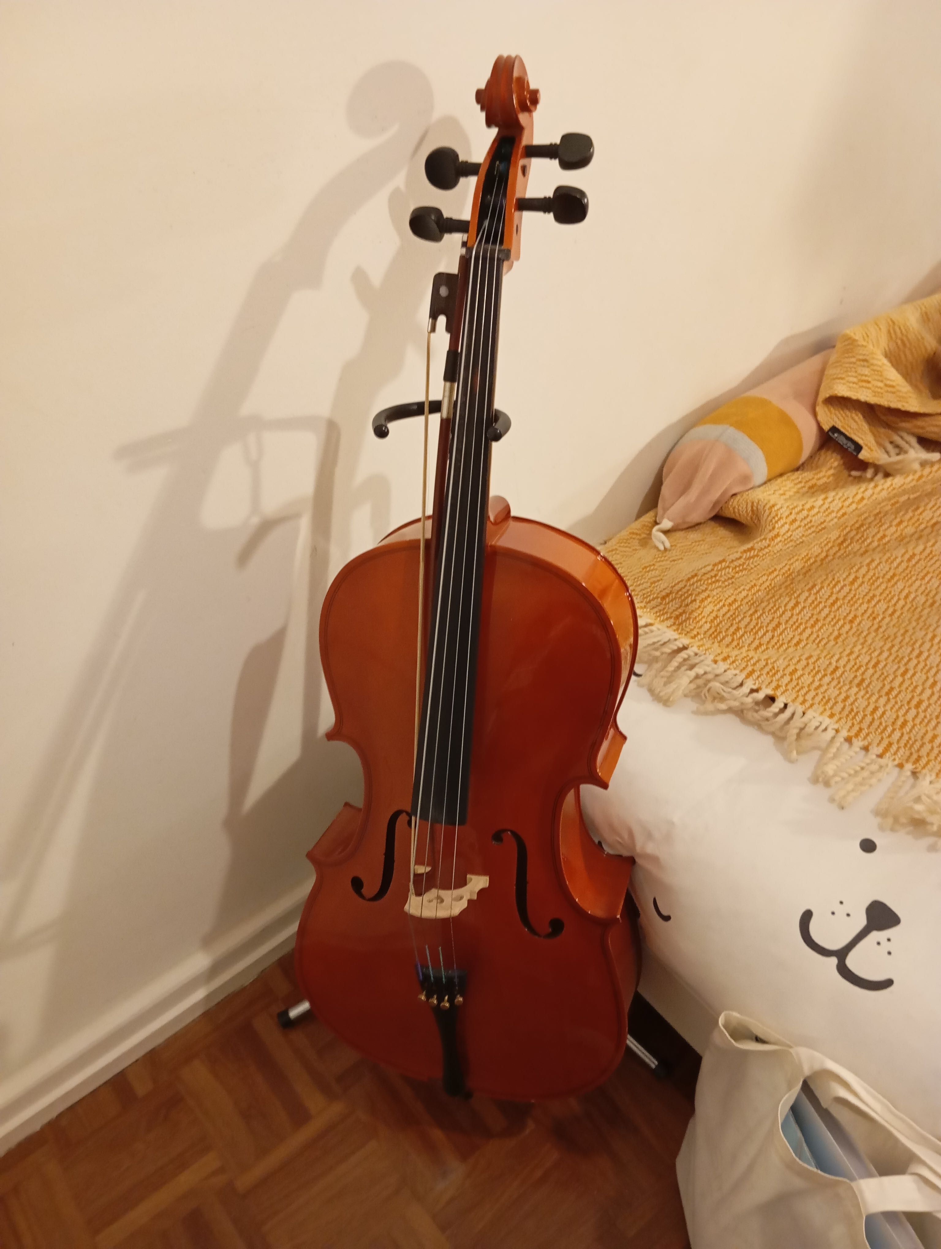 Violoncelo Cervini 1/2