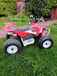 Quad PegPergo Polaris