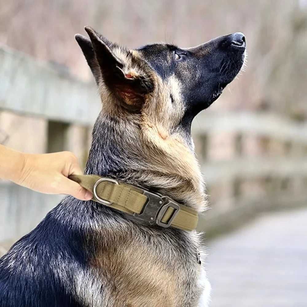 Regulowana Obroża Treningowa dla Psa