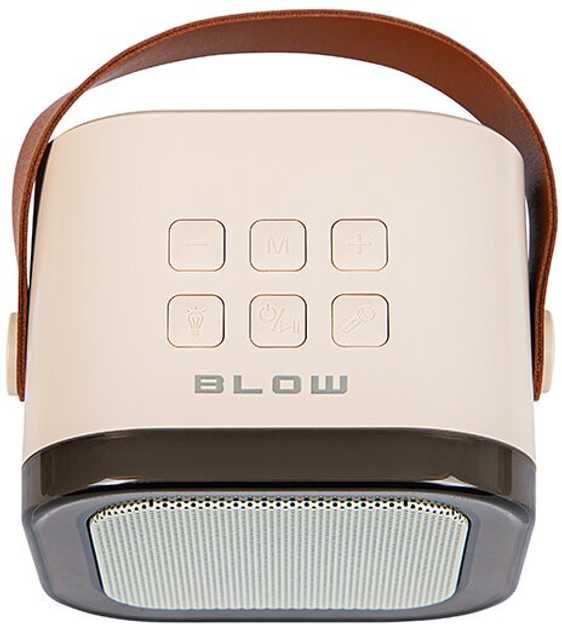 Караоке колонка з двома мікрофонами Blow Karaoke K12 RGB