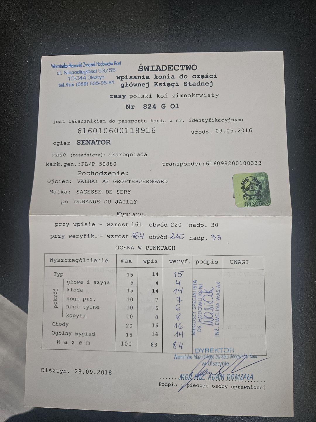 Sprzedam ogiera zimnokrwistego