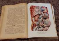 Encyklopedia zdrowia 1904 rok