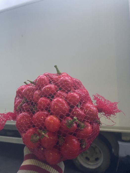 3kg papryka ostra czeresniowa