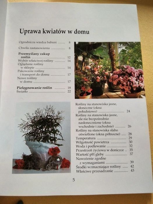 Uprawa kwiatów w domu