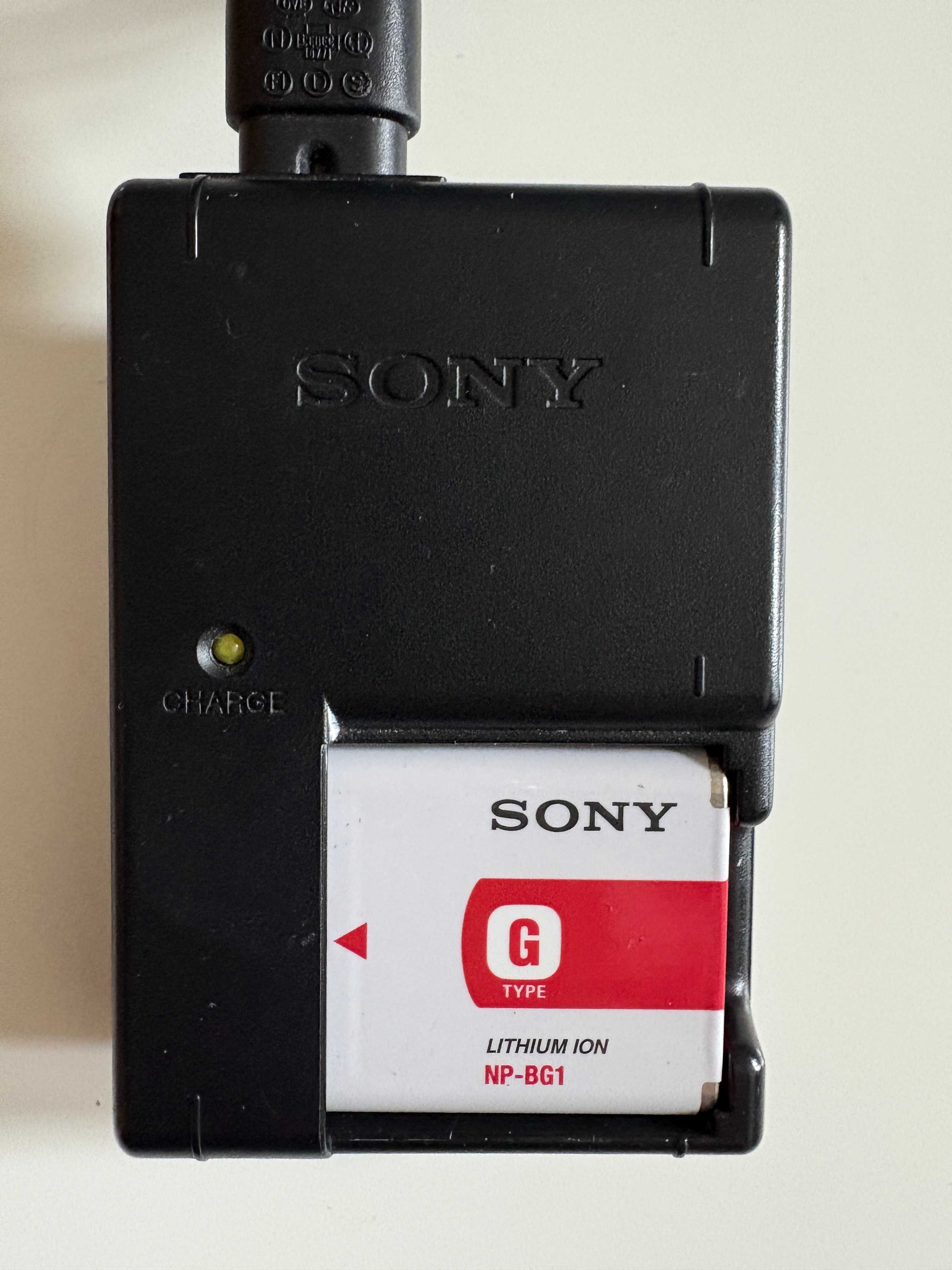 Aparat Cyfrowy Sony Cyber-Shot DSC-HX10V 18.2 Mega Pixels