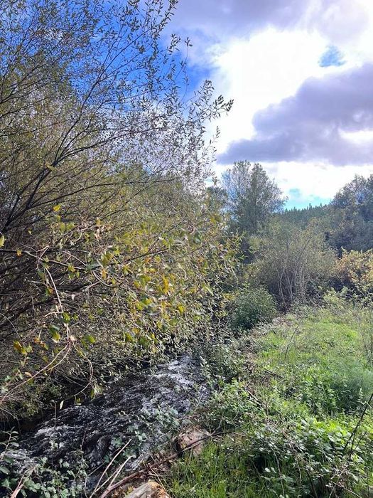 Terreno Rustico a beira da Ribeira na Serra da Estrela