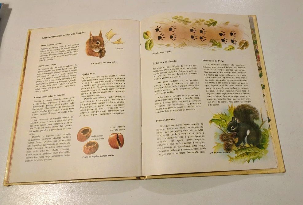 O esquilo, Colecção Vida Animal