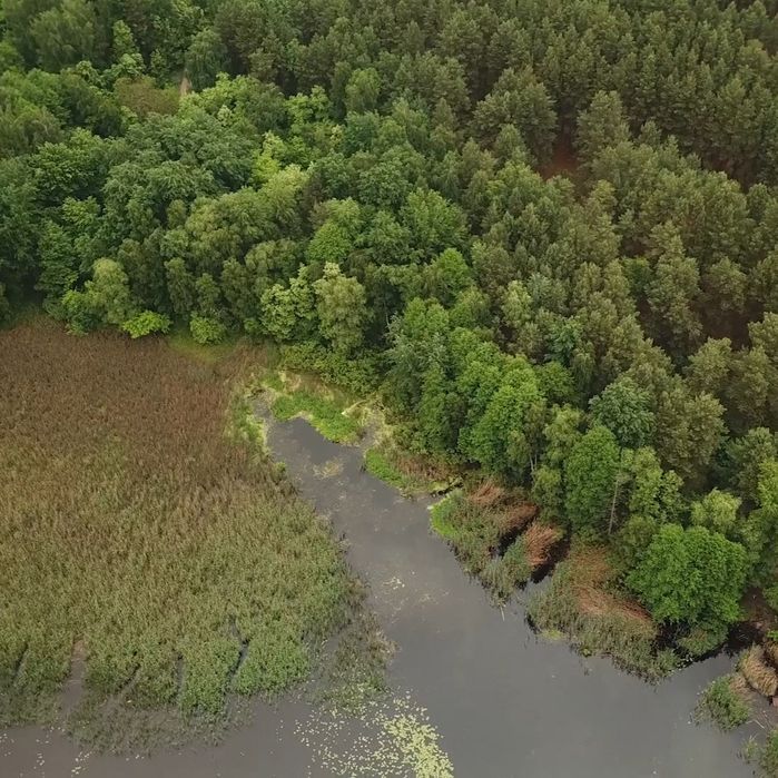Ділянка 1.7 ГА з виходом в Київське море, Толокунь, ліс, фарватер