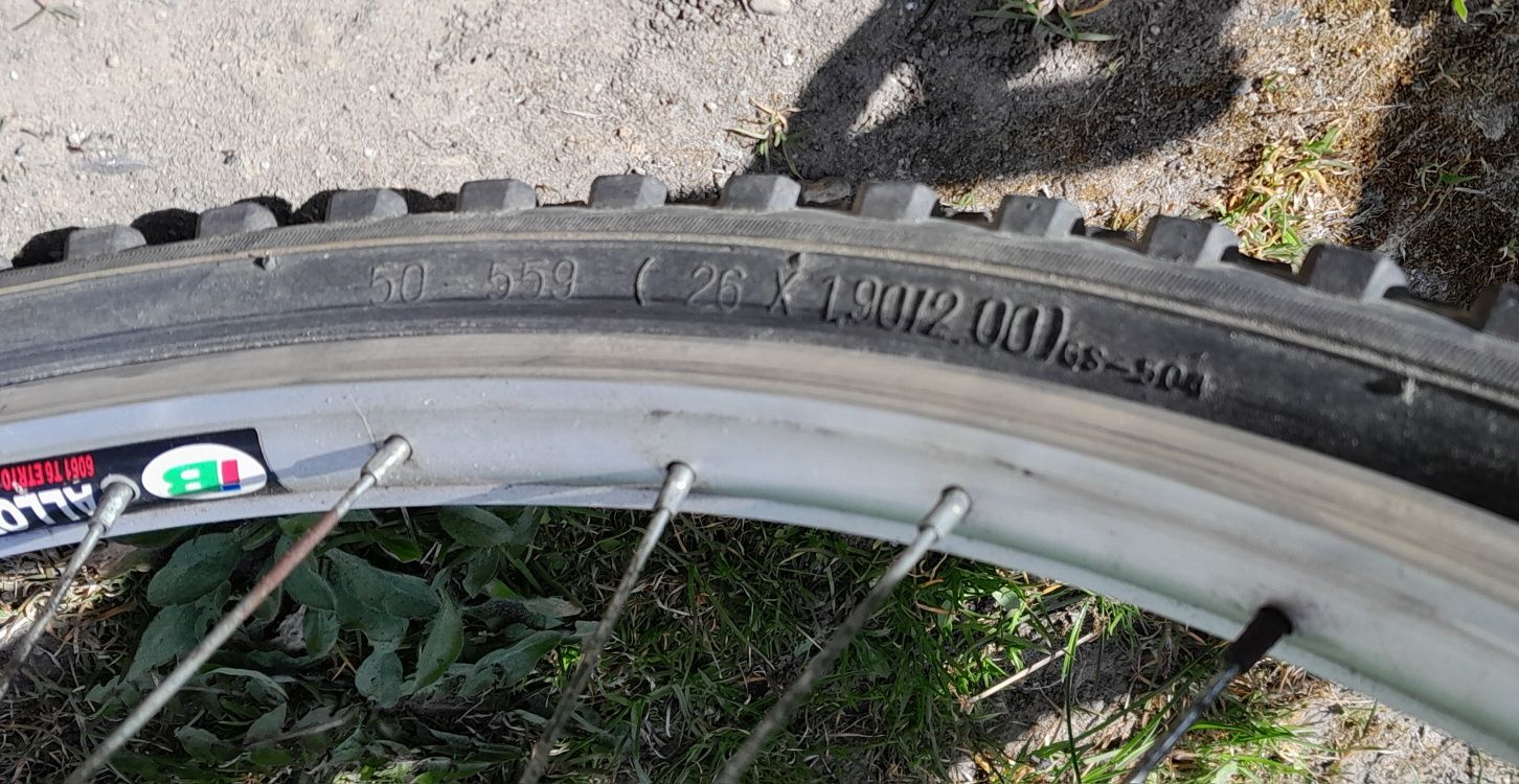 Rower damka Easy Active rama 19" koła 26"