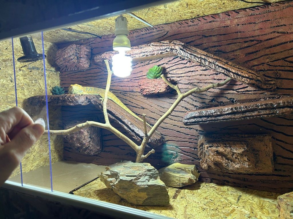 Terrario personalizado