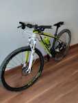 Bergamont revox roda 29