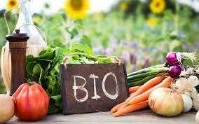 Bio Obornik granulowany certyfikat IUNG