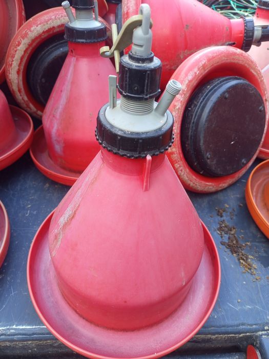 Bebedouros para aviário